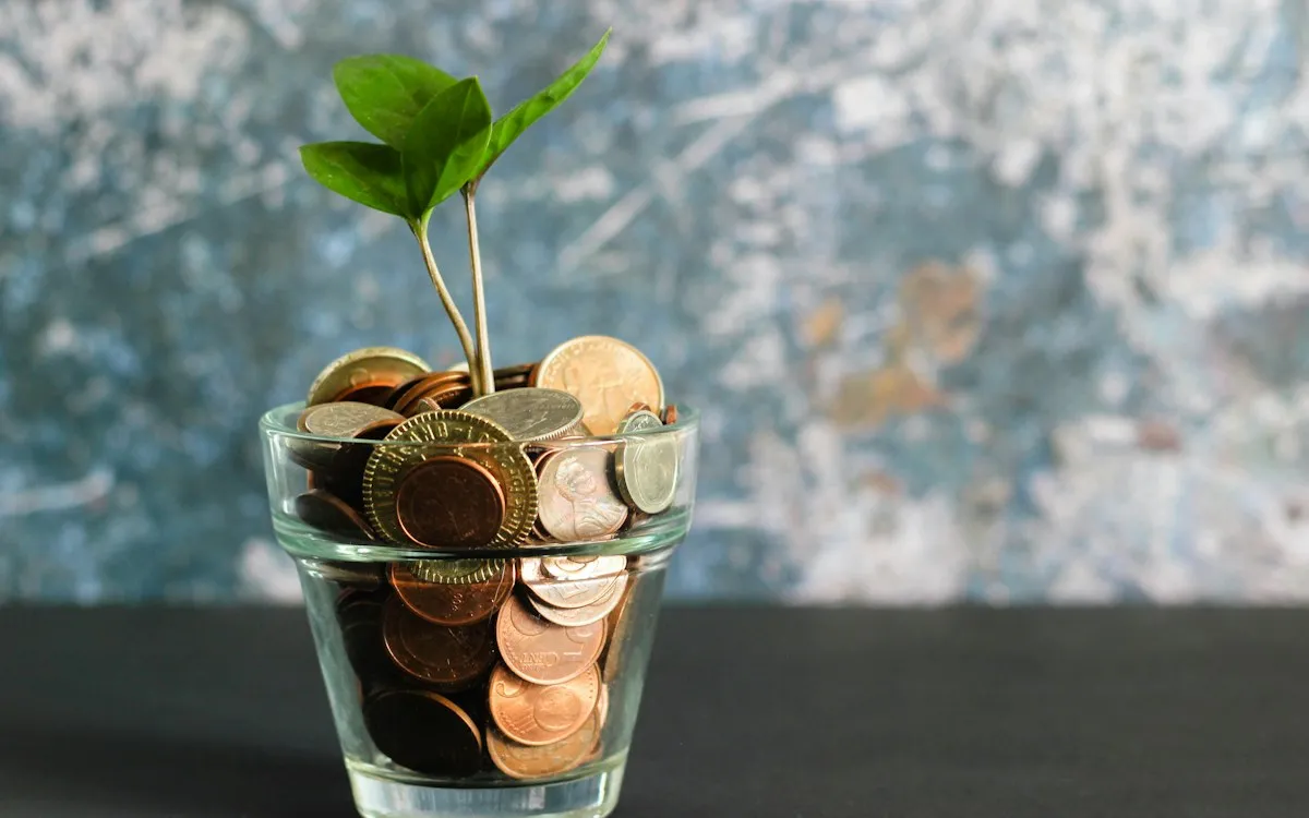 Glass jar filled with coins with a small green plant growing from the top