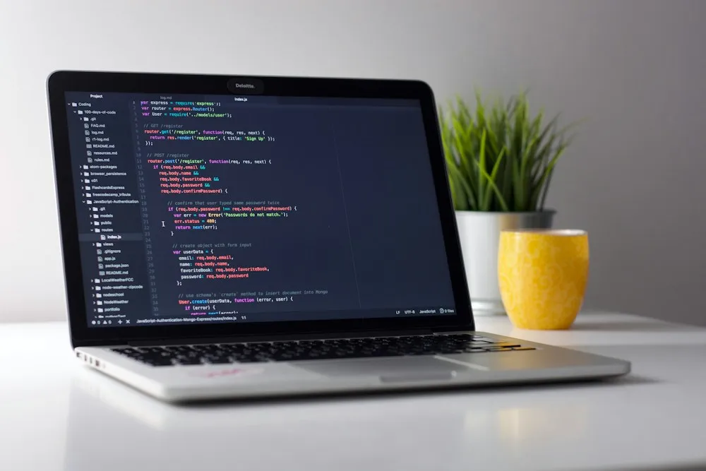Laptop showing code on a bright desk beside a green plant